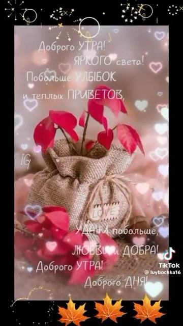 YouCut_20251013_132117381.mp4