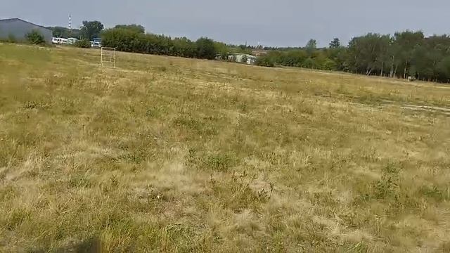 1000081831.mp4