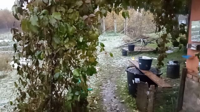 Дом у озера. Снова зима. 12.10.2025.