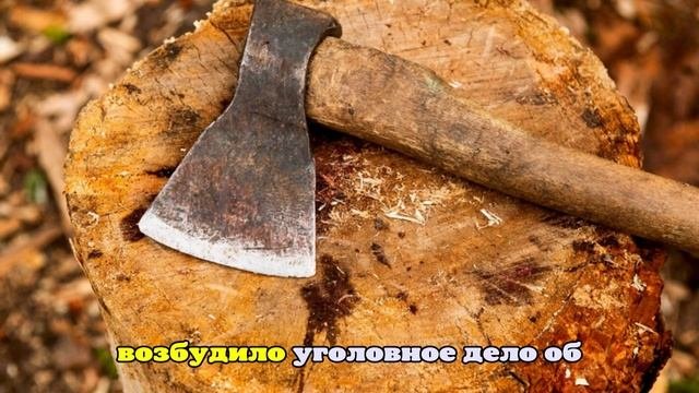 В Липецке мужчина забил свою бабушку топором и лег спать