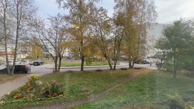 новаяладога
