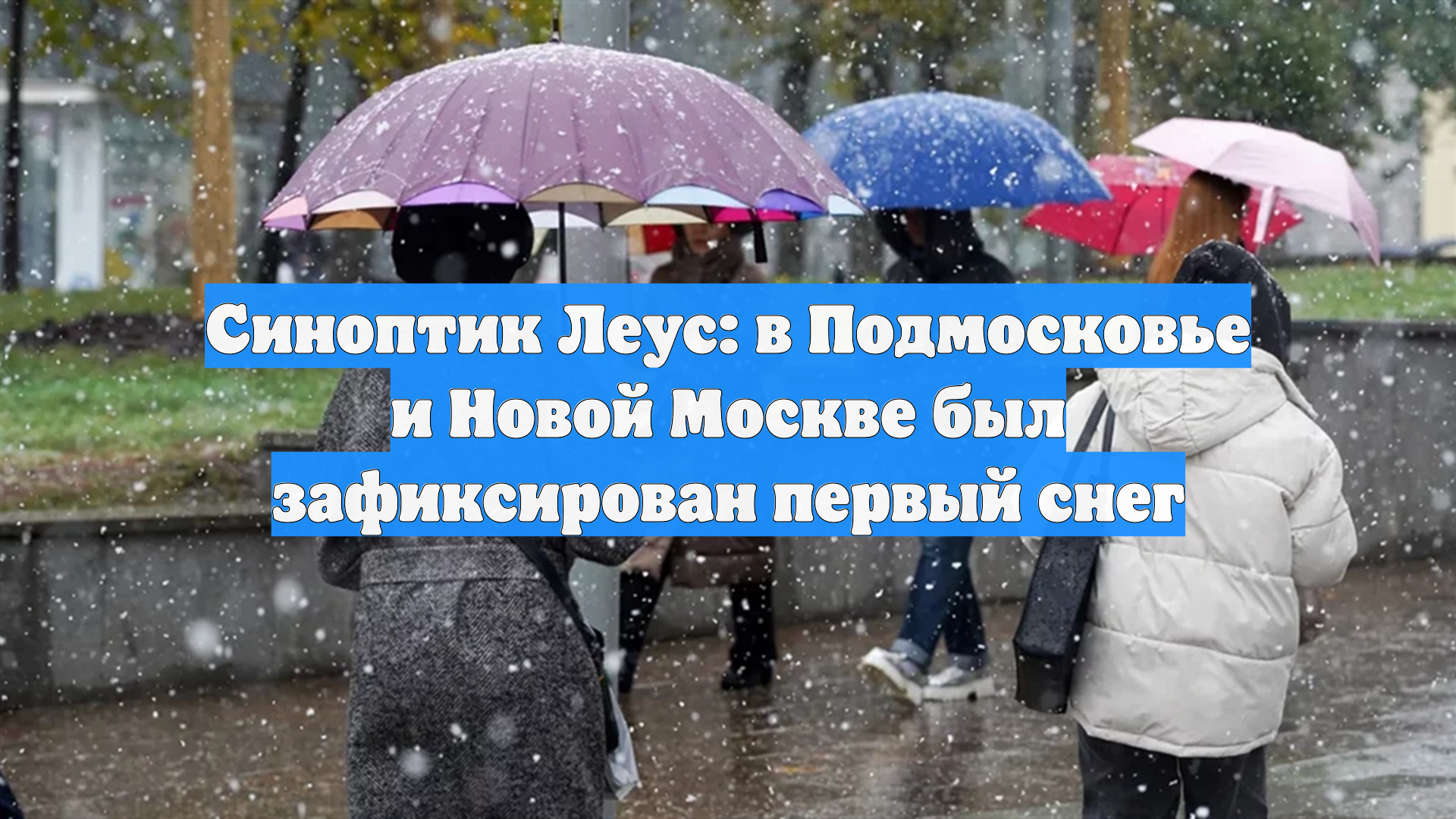 Синоптик Леус: в Подмосковье и Новой Москве был зафиксирован первый снег