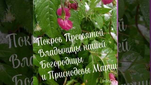 Величание Покрова Пресвятой Богородицы.mp4