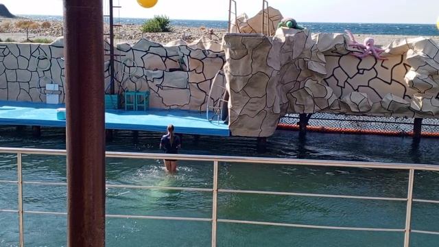 Video_2025-08-11_13-32-21