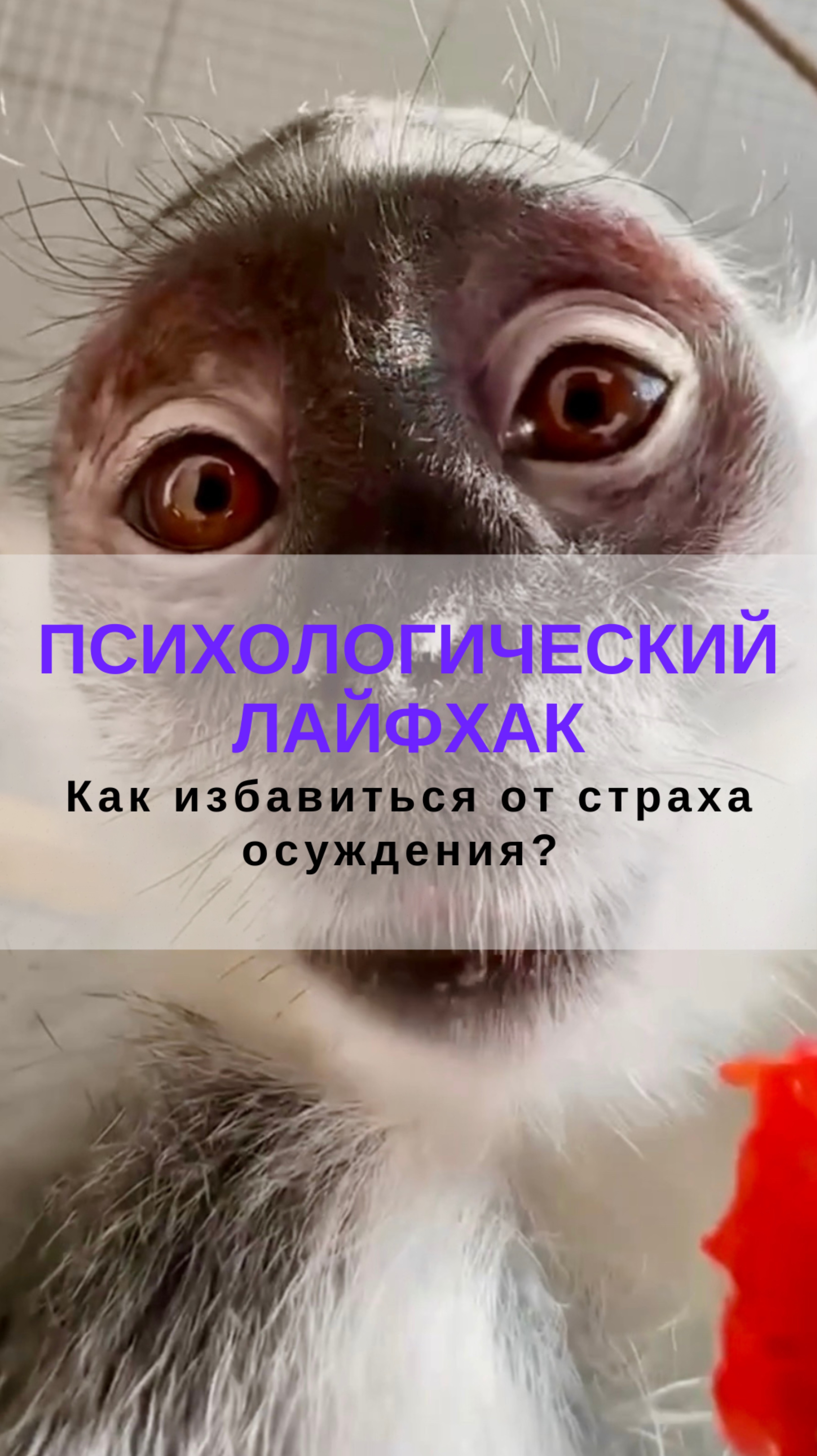 Как избавиться от страха осуждения? Психологический лайфхак