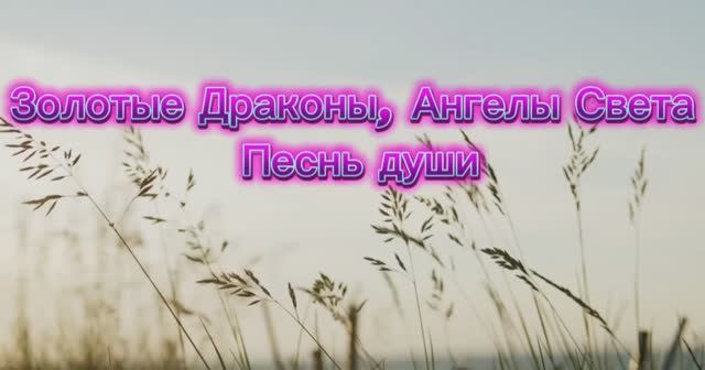Золотые Драконы, Ангелы Света. Песнь души 31.08.2025г (126 Послание)