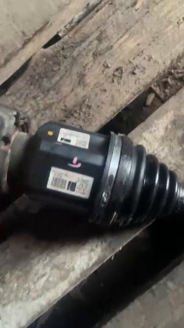 WhatsApp Video 2025-10-13 At 18.25.38