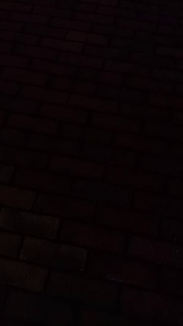 VID_20251013_154309.mp4