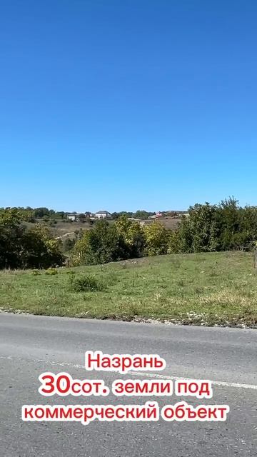 WhatsApp Video 2025-10-09 At 14.17.29