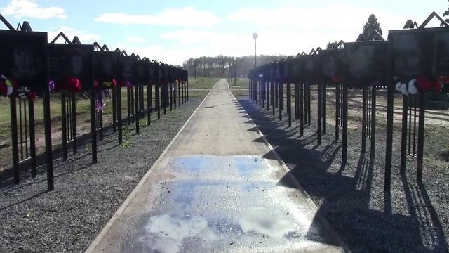 Муромцево 12 октября 2025г На аллеи героев муромчан СВО.