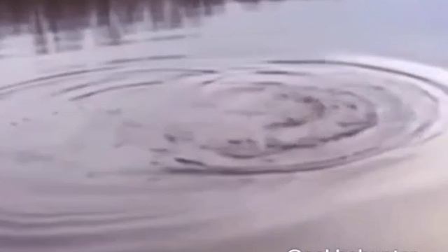 Двойной улов!