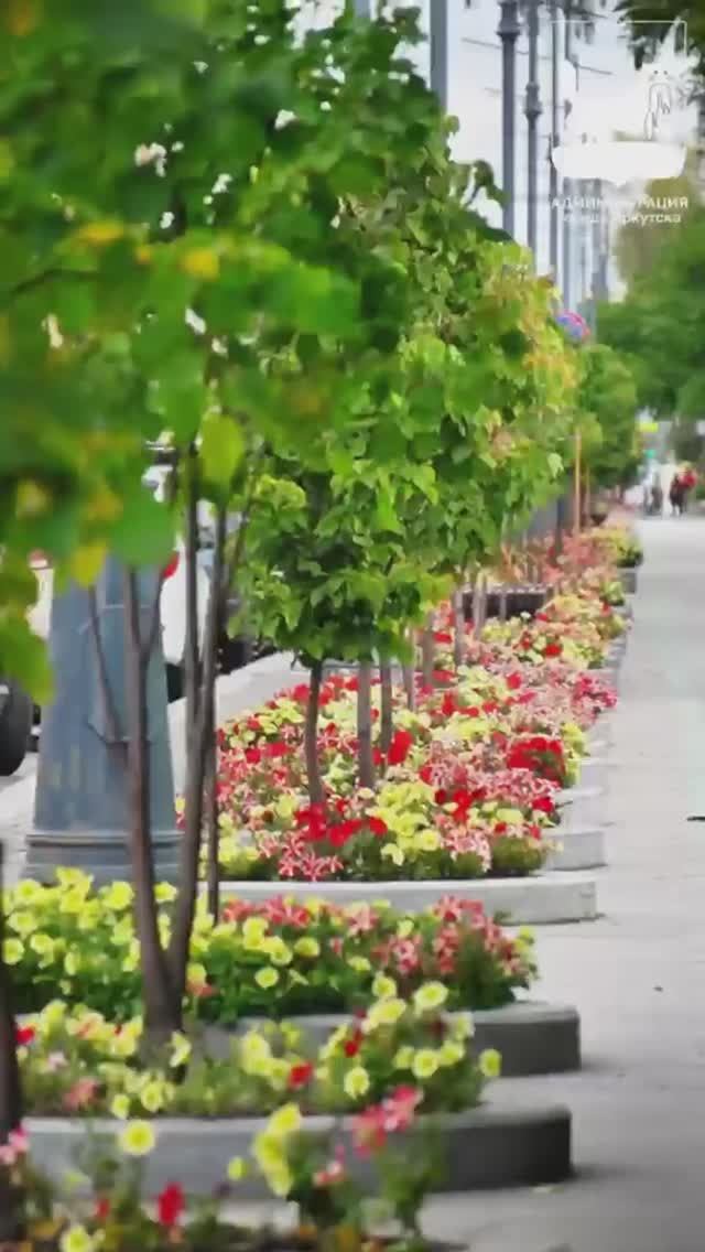Осень. Иркутск