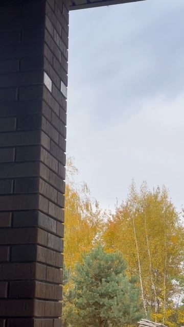 Любите здоровый сон?