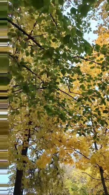 1000040429.mp4