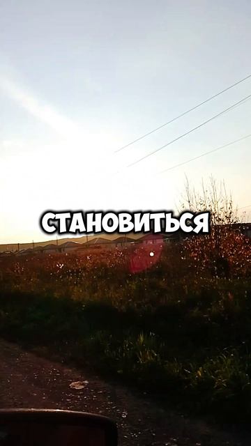 Зачем это мне.mp4