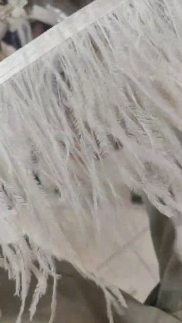 Тесьма из перьев страуса на ленте двухслойная 2 ply. 13-15 см 1м.  - Молочный цвет