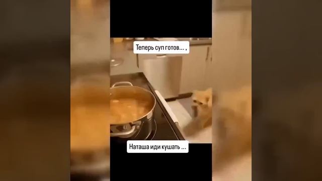 Видео от МЭН - Мне Это Нравится