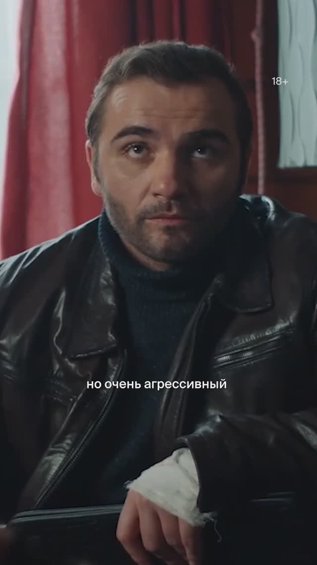 Лисы добрее собак?  Сериал КАК ПРИРУЧИТЬ ЛИСУ в Okko