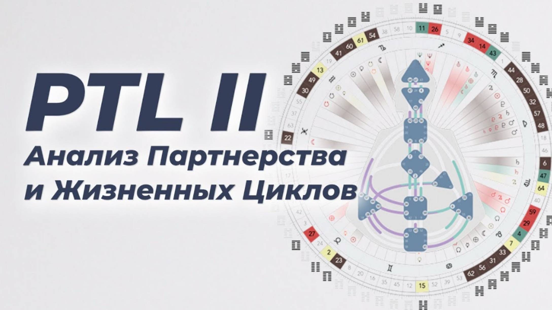 PTL II: Анализ Партнёрства и Жизненных Циклов.