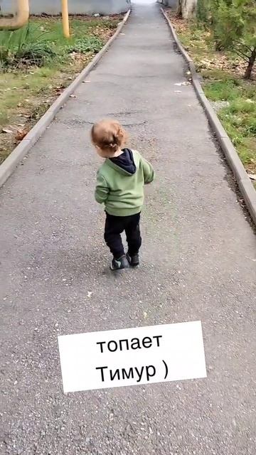 топ-топ