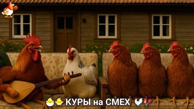 Веселые куры порадуют детей и взрослых 🐣🐤🐓 серия (12)