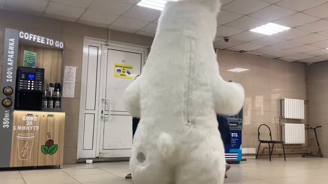 Заказать поздравление белого медведя  Химки, Лобня, Красногорск, Долгопрудный, Реутов, Мытищи