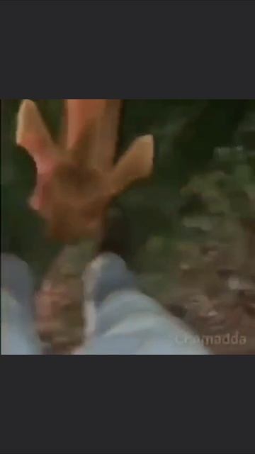 топ олдовский мемасик