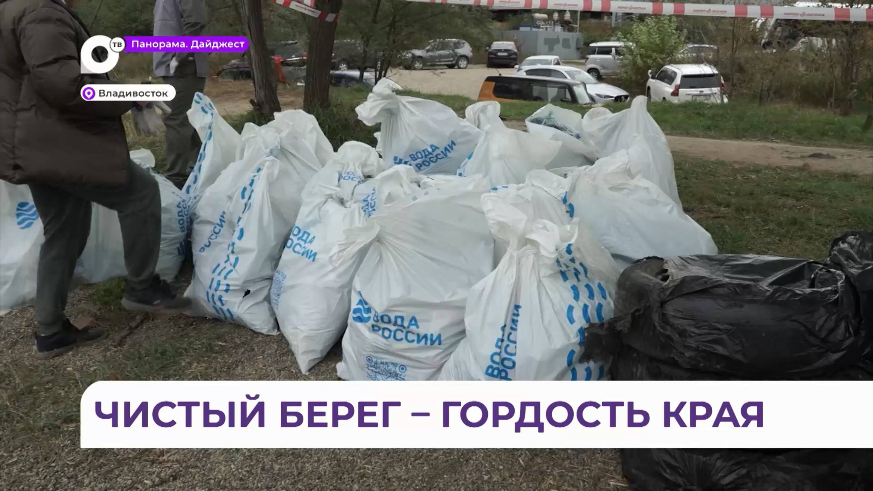 Больше 100 жителей Владивостока приняли участие в экоакции «Чистый берег- гордость региона