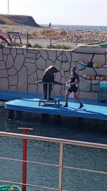 Video_2025-08-11_13-31-46