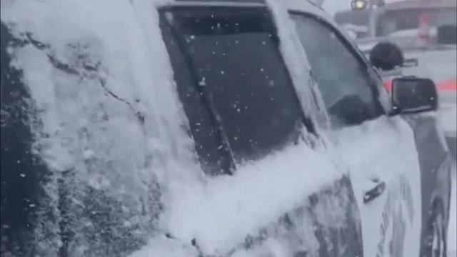 Реклама Снегопад в Калифорнии