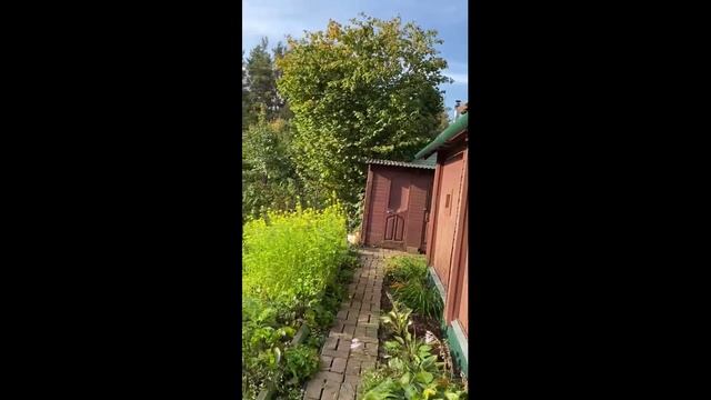 Дача 24 м² на участке 3 сот.