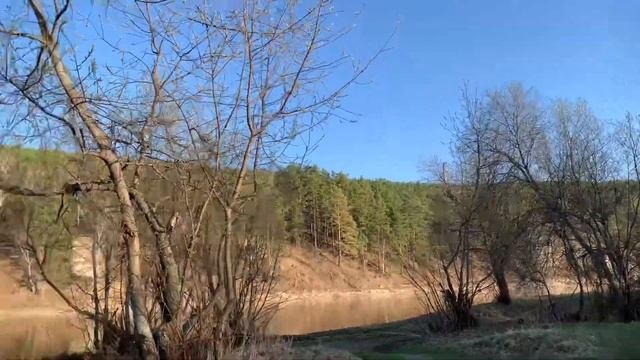 Тишина и свежий воздух всё что нужно беременной