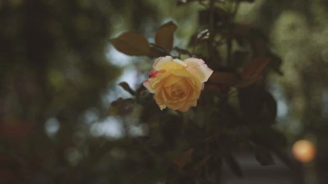 Летний праздник филиала пансионата для пожилых людей 