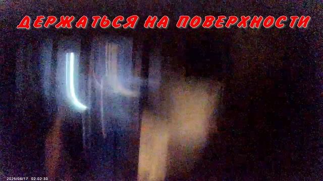 ТЕЛЕСНЫЕ