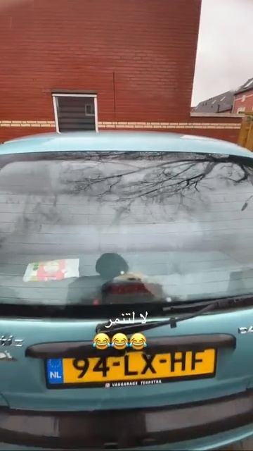 Авто с монетоприёмником 