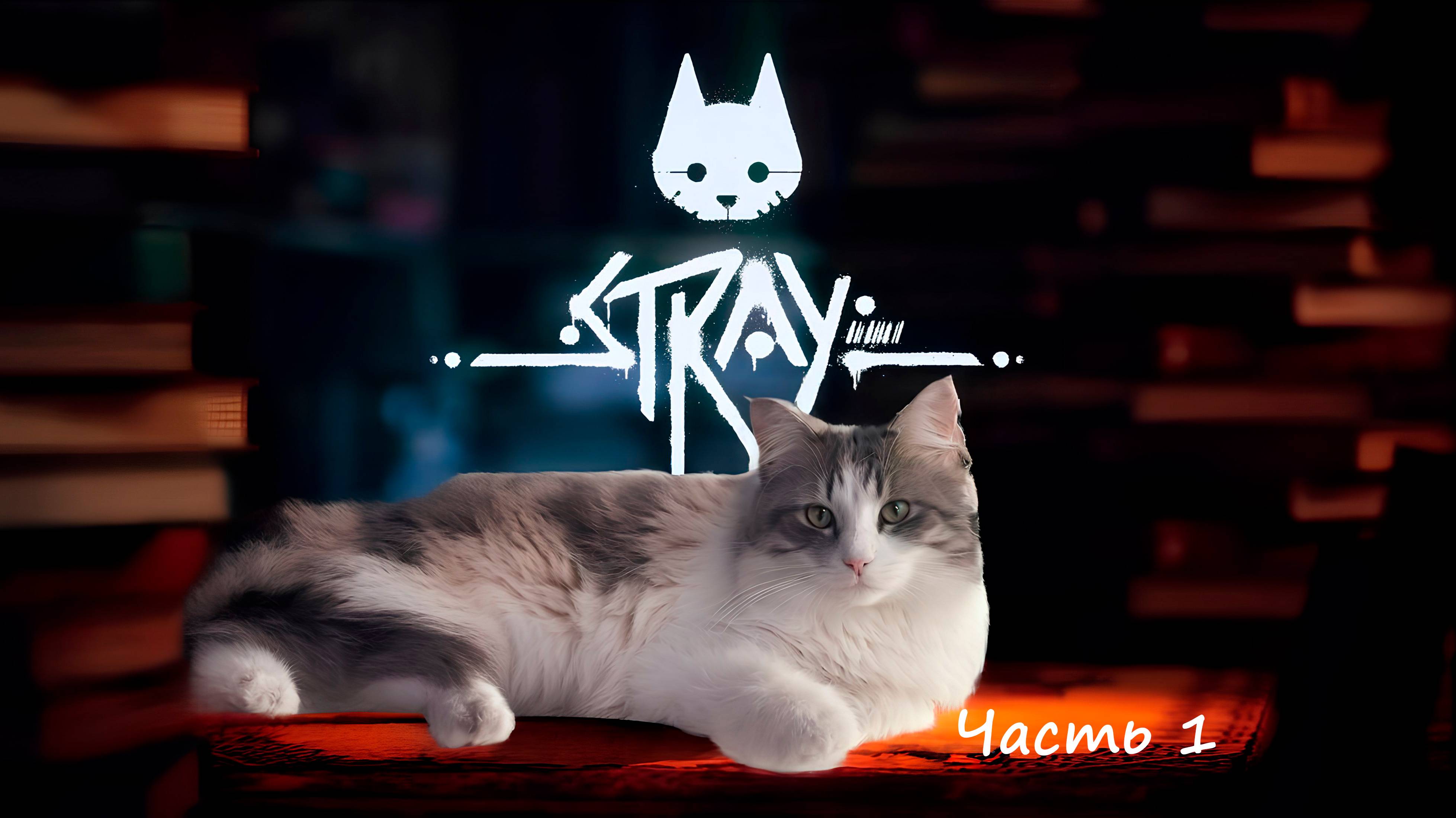 Stray. Часть 1.