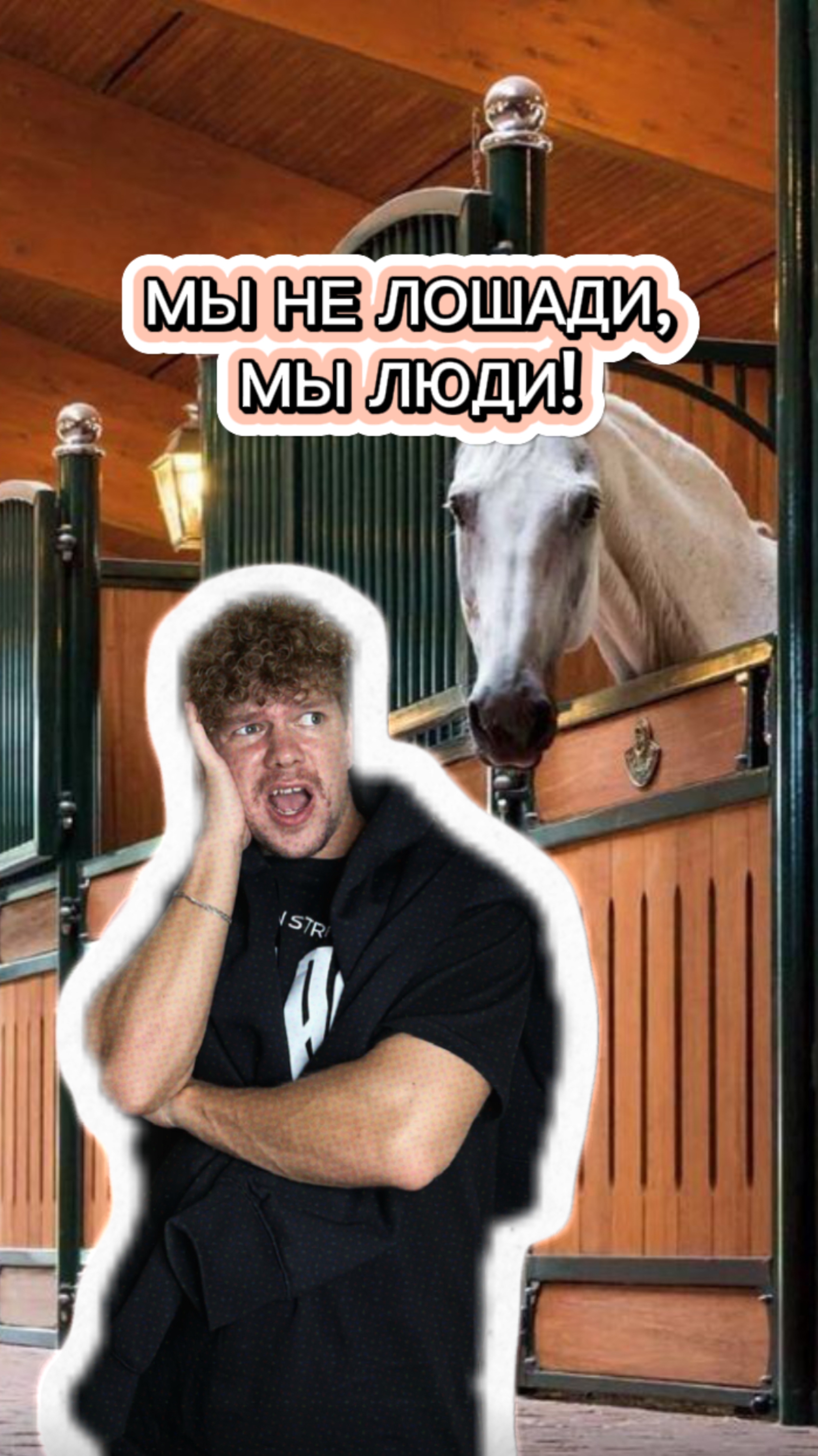 ПОЧЕМУ ЛЮДИ БОЯТСЯ ЛОШАДЕЙ? #юмор #комедия