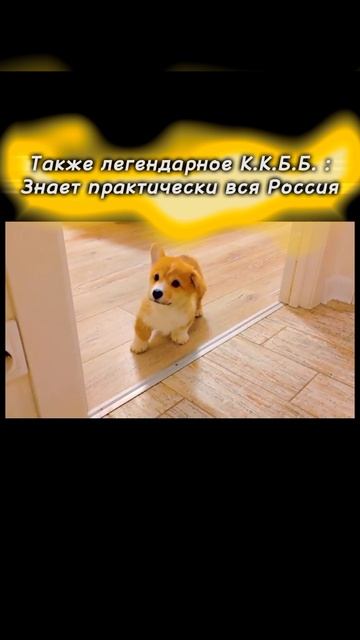1000035483.mp4