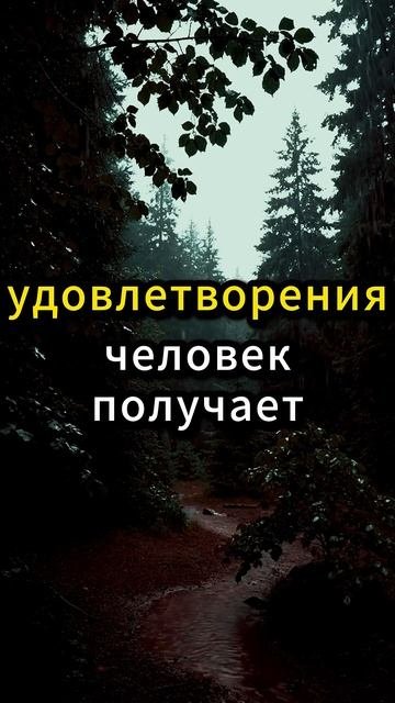 Измена как месть #измена#отношения #семья