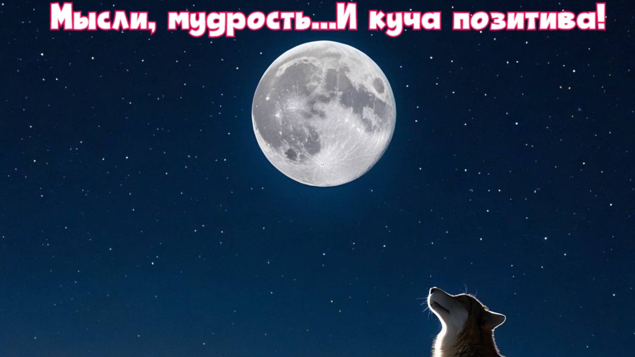 Мысли, мудрость, и куча позитива!