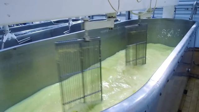 Мантуровский сыродельный комбинат - БОГОВАРОВО. Костромские сыроварни.
