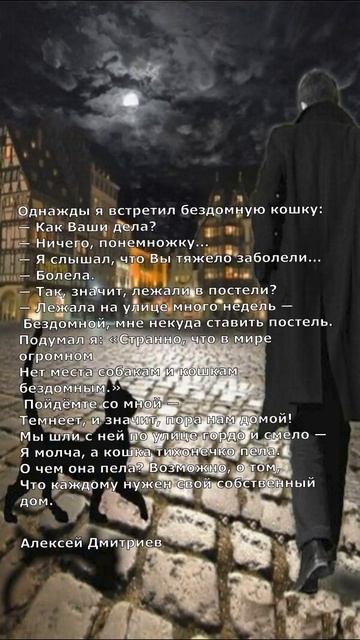 Каждой кошке нужен собственный дом