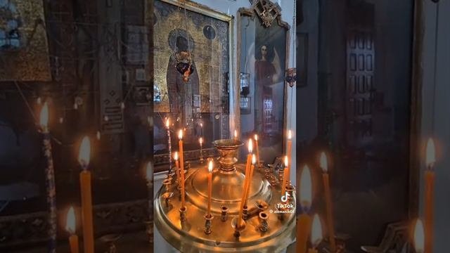 VID-20251010-WA0003.mp4 Елена Дружиненко