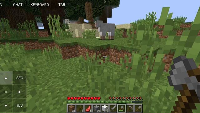 1000012483.mp4