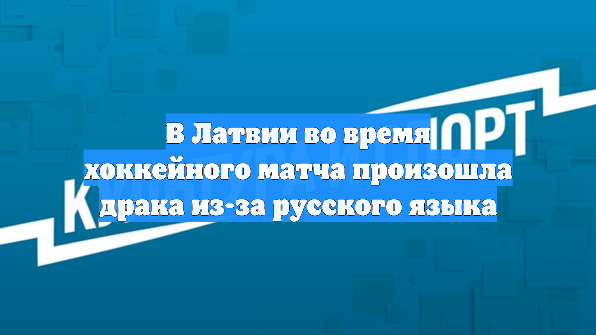 В Латвии во время хоккейного матча произошла драка из-за русского языка