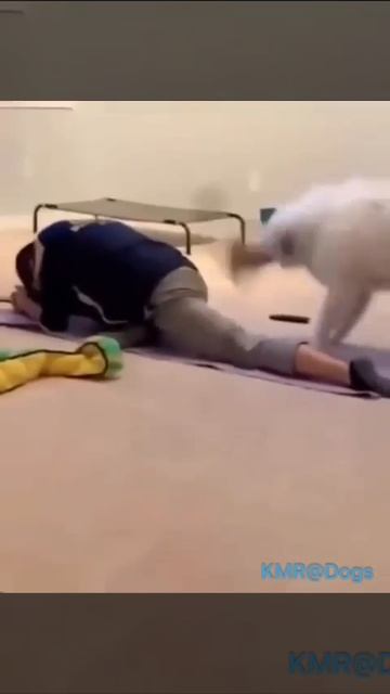 ЮМОР)))))