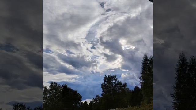 1000033319.mp4