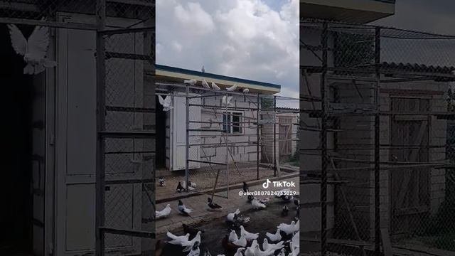 1000009754.mp4