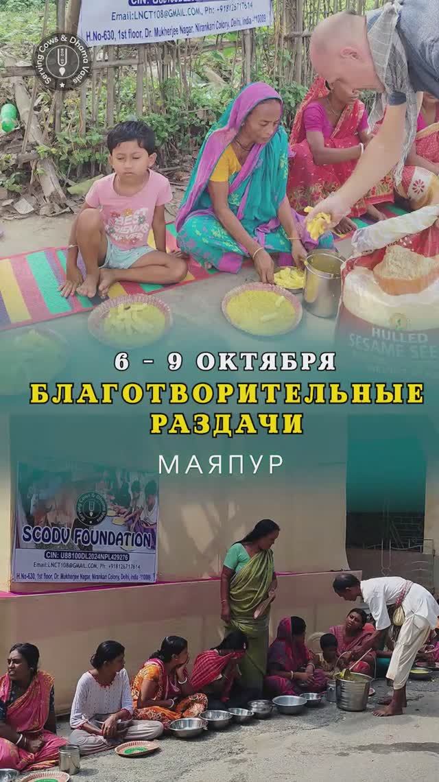 6 - 9 октября. Видеоотчет о благотворительных раздачах в Маяпуре