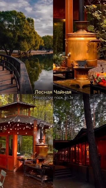 Самые осенние кофейни Москвы. Сохраняем локации #shorts